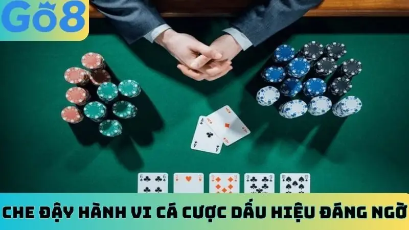 Che đậy hành vi cá cược dấu hiệu đáng ngờ